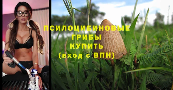 MDMA Premium VHQ Богородск